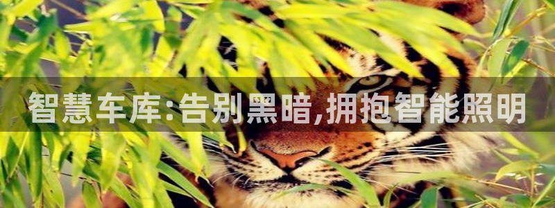 云顶国际取款多久到账啊