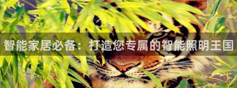 云顶集团市值