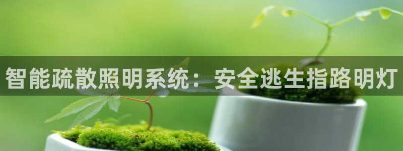 云顶网络游戏平台