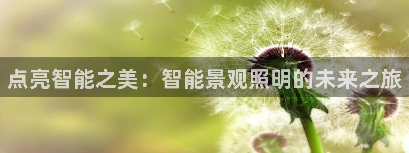 云顶国际公馆