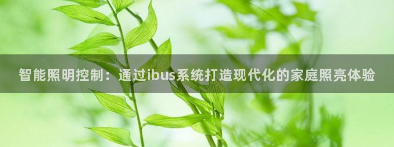 云顶国际服