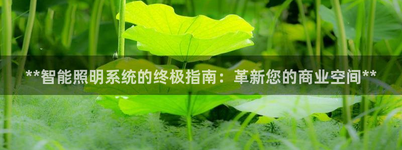 云顶国际商务会所电话