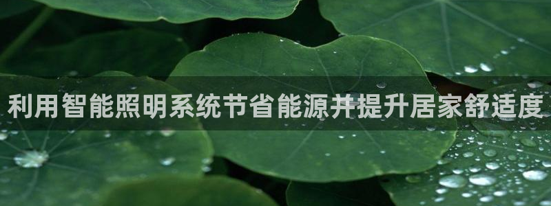 云顶国际app是什么游戏