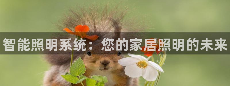 云顶国际的网址是多少