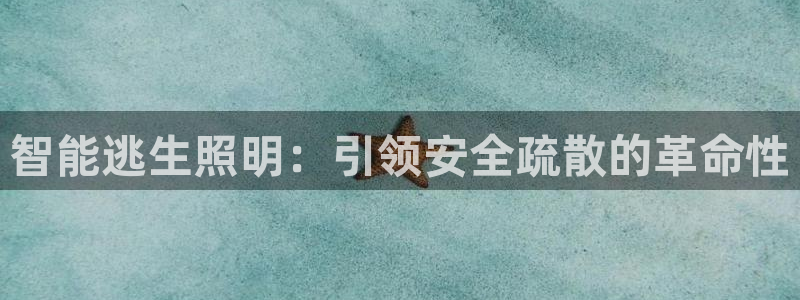 云顶集团网站app下载安装