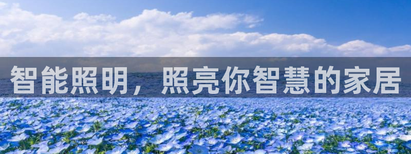 云顶国际是真实网站吗知乎