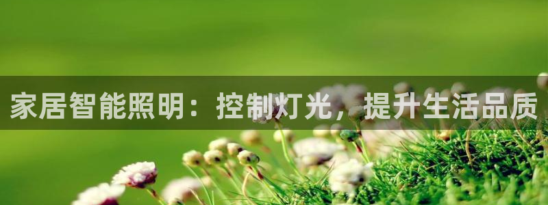 云顶集团有限公司