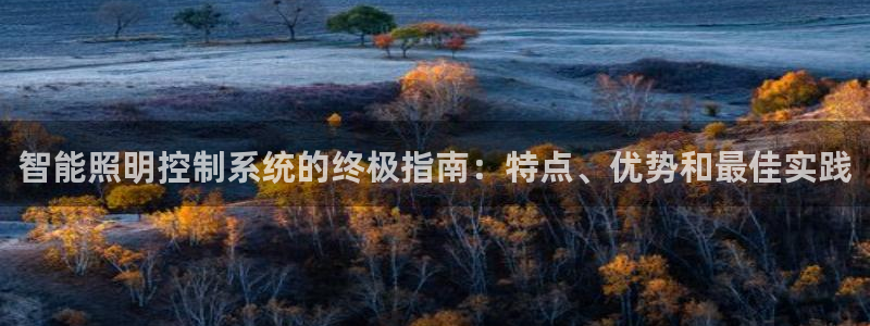 云顶国际是做什么的