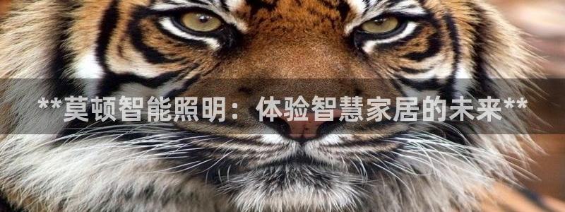 云顶集团3118app下载