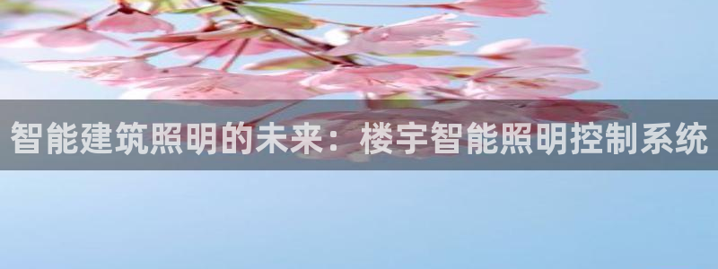 云顶电子游戏网站登录