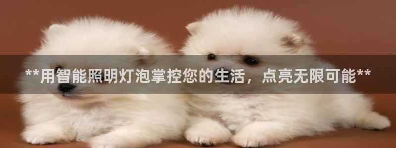 云顶国际版最新版苹果版