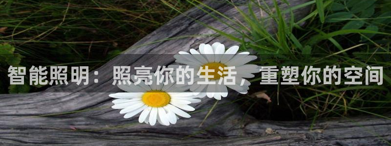 云顶国际百度百科