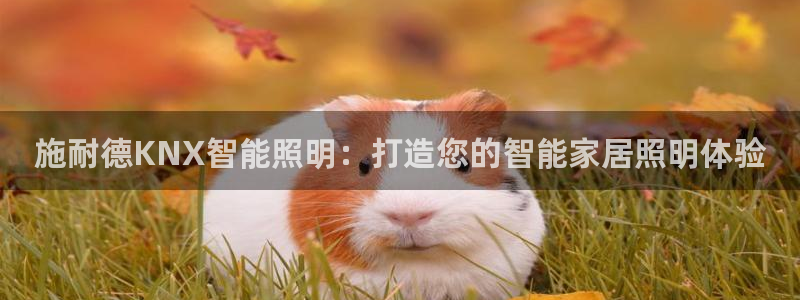 云顶国际大酒店招聘信息