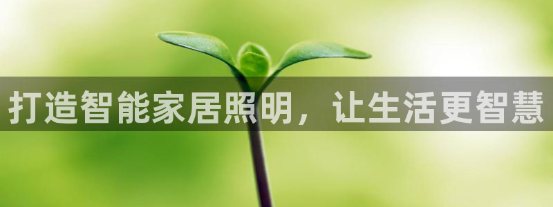 云顶国际APP