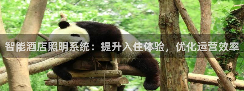 云顶电玩城游戏官网
