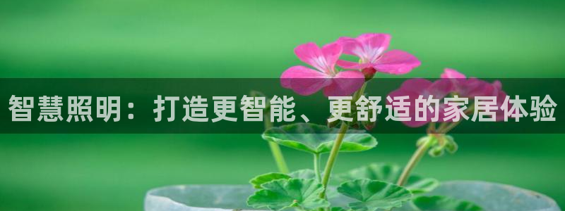 云顶国际服名字不可用