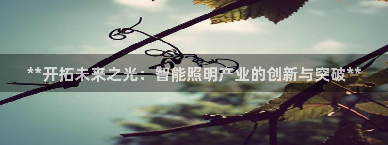 云顶国际大厦地址