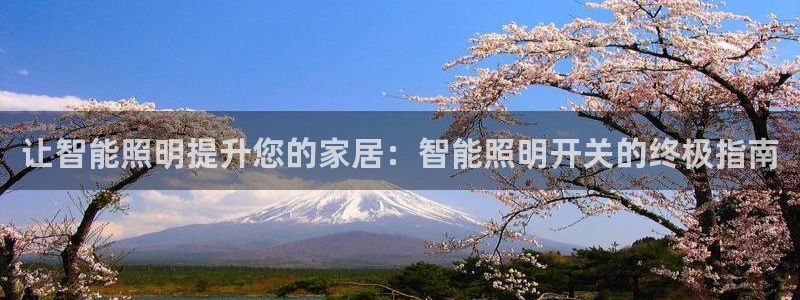 云顶国际app官方