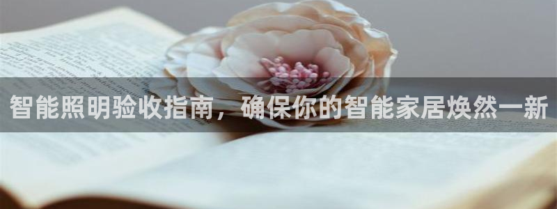 云顶国际服没有改名卡