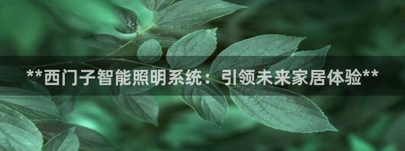 云顶国际4008服务平台