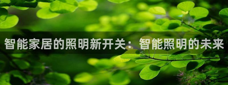 云顶国际不出款