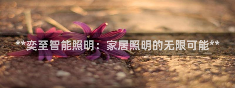 云顶国际酒店位置