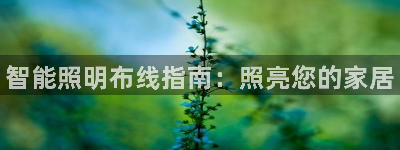云顶国际属于哪个社区