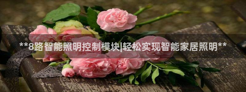 云顶国际服加速器