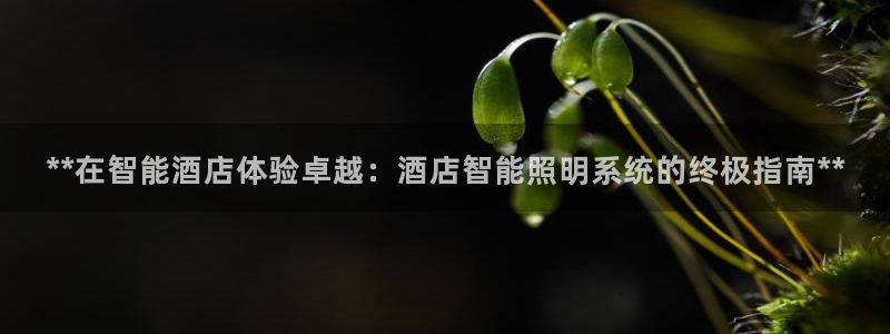 云顶国际77026