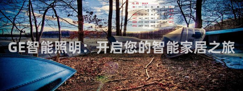 云顶国际服阵容