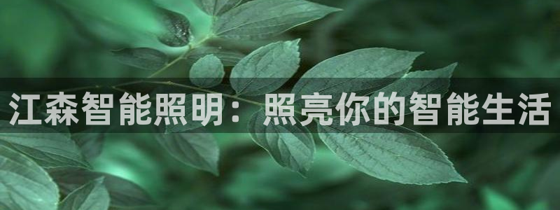 云顶集团老总