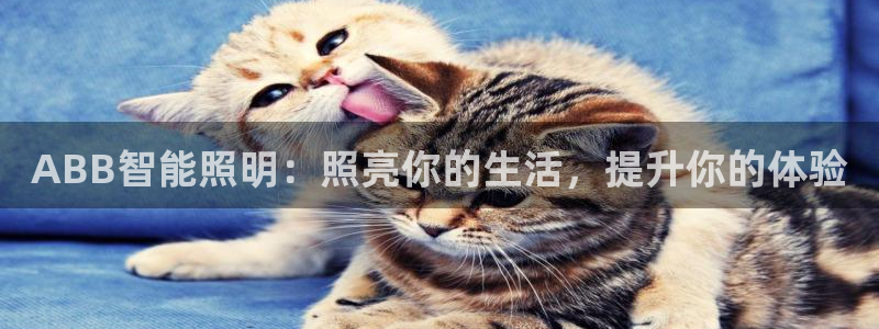 太原云顶国际大酒店订餐