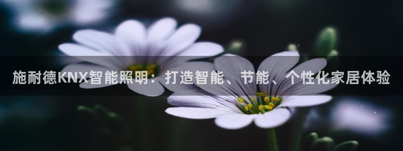 云顶国际城手机网址是多少