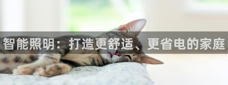 云顶com
