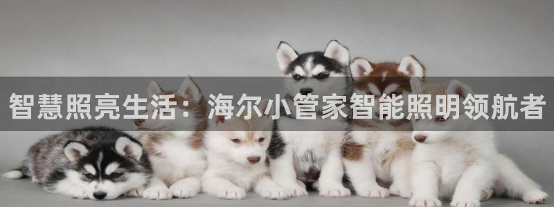 云顶集团官网电话客服