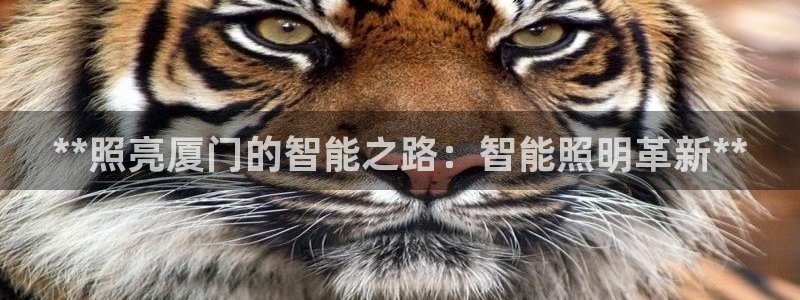 云顶集团网投领跑者