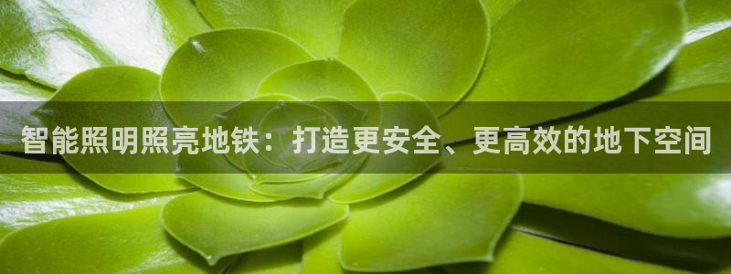 云顶国际商业广场可以充电动车吗