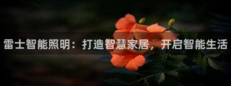 云顶集团网站app下载安装