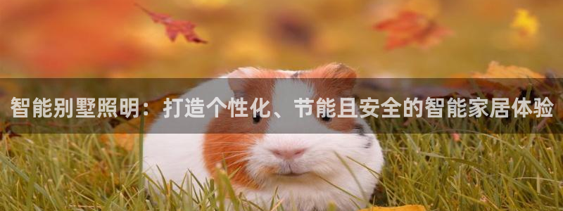 云顶国际app怎么样可靠吗