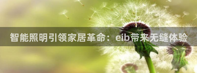 云顶国际电子游戏