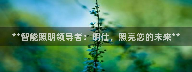 云顶国际公馆户型图
