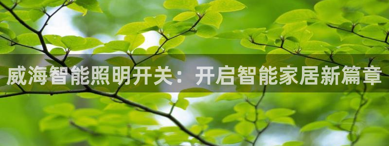 云顶国际软装公司怎么样