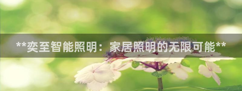 云顶国际在线