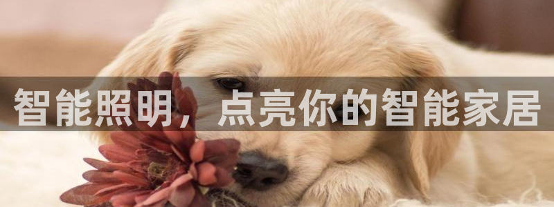 4008浏览器云顶下载