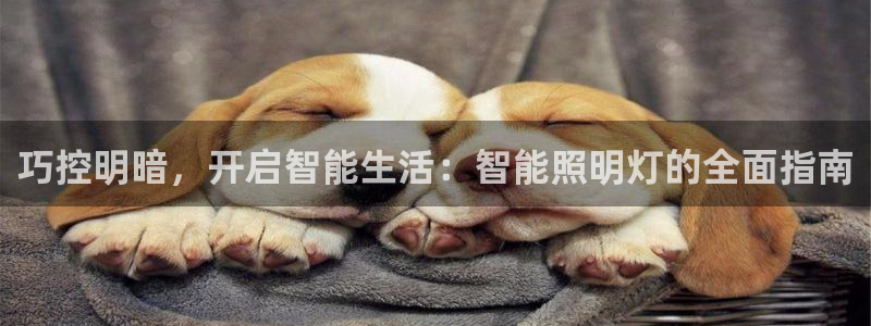 云顶国际游戏平台有哪些