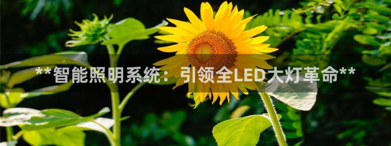 云顶国际酒店几星