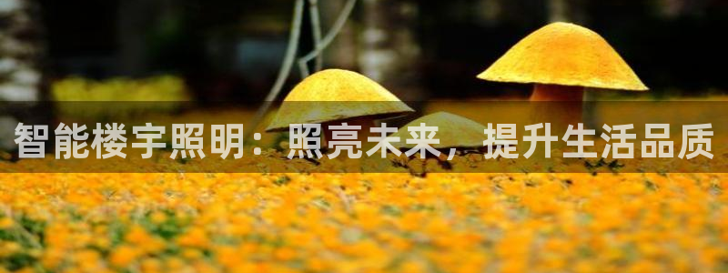云顶国际宴会中心电话