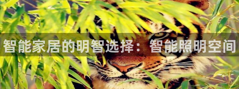 云顶国际连接