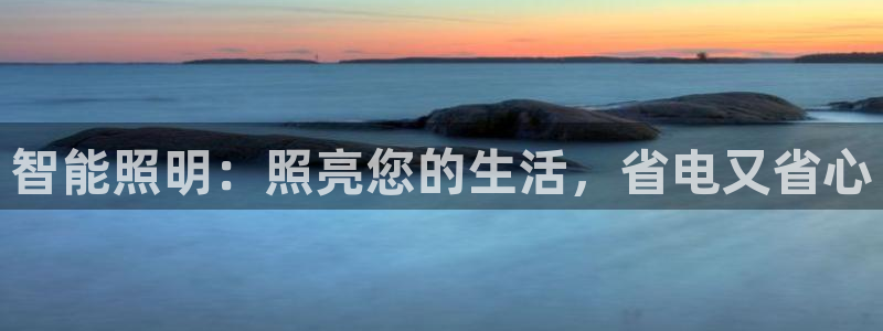 云顶国际服名字不可用