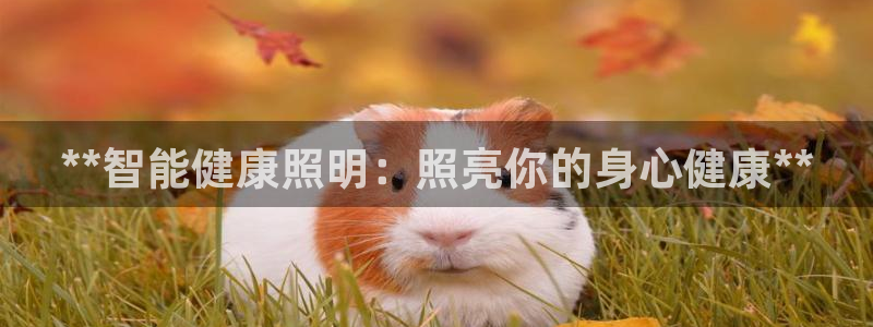 云顶国际音乐会所怎么样